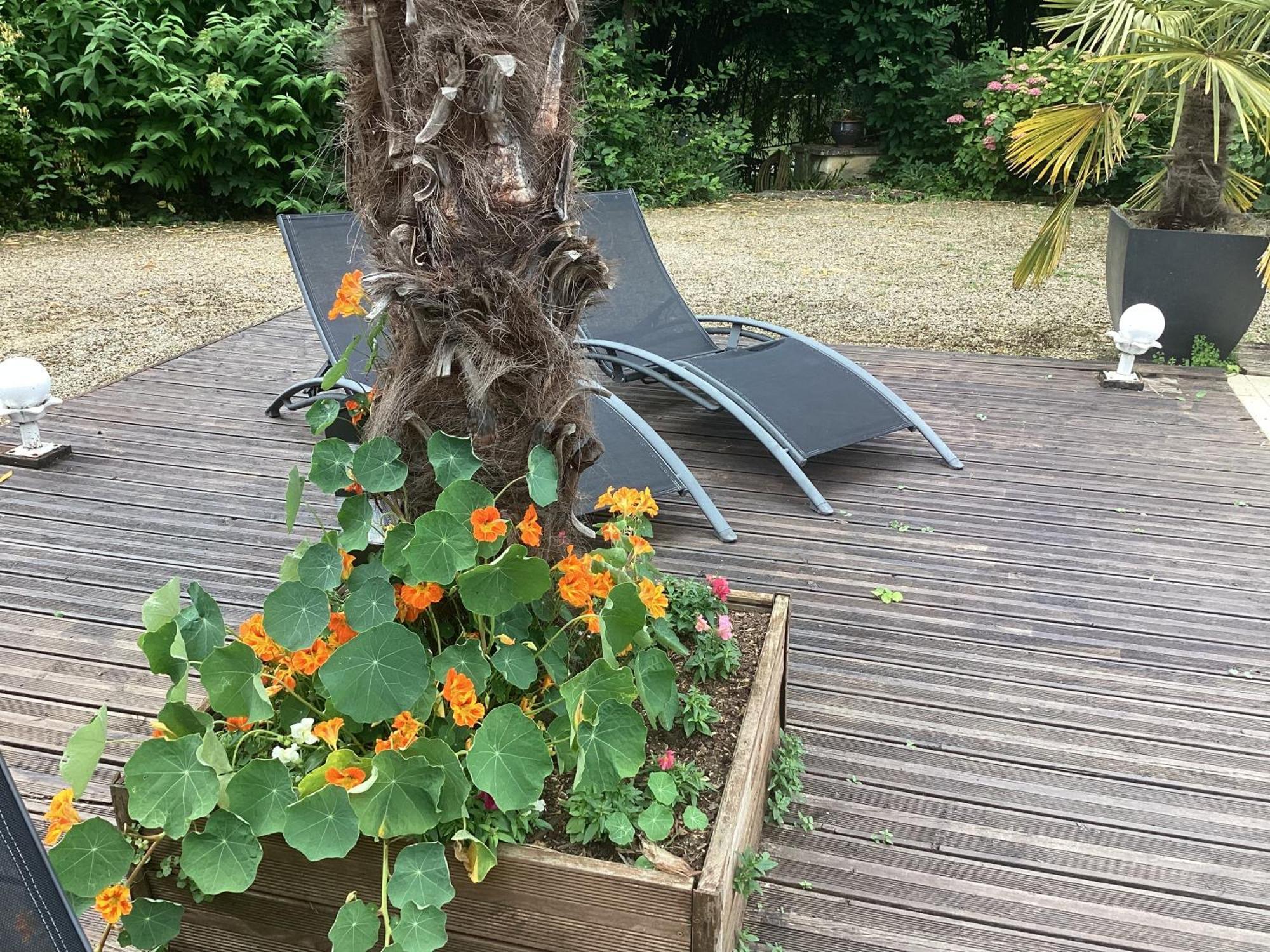 Bed and Breakfast Le Lavoir Châteauroux Exterior foto
